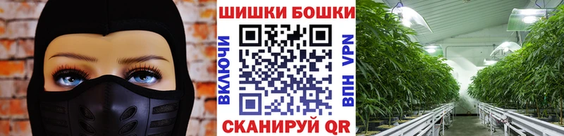 закладки  блэк спрут рабочий сайт  Конопля Ganja  Павлово 